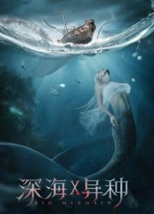 请不要误解我在线观看
