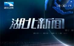 wlf2016武林风全球功夫盛典在线观看
