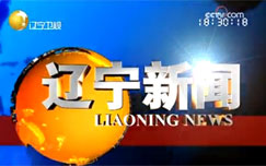 敢zuo敢为女声秀在线观看