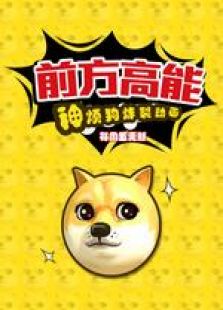 勇者大冒险 第二季在线观看