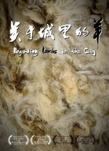 触枪在线观看